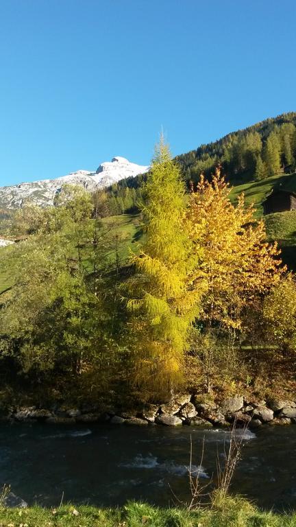 Haus Harbauer Lägenhet Neustift im Stubaital Exteriör bild