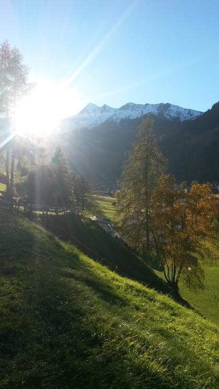 Haus Harbauer Lägenhet Neustift im Stubaital Exteriör bild