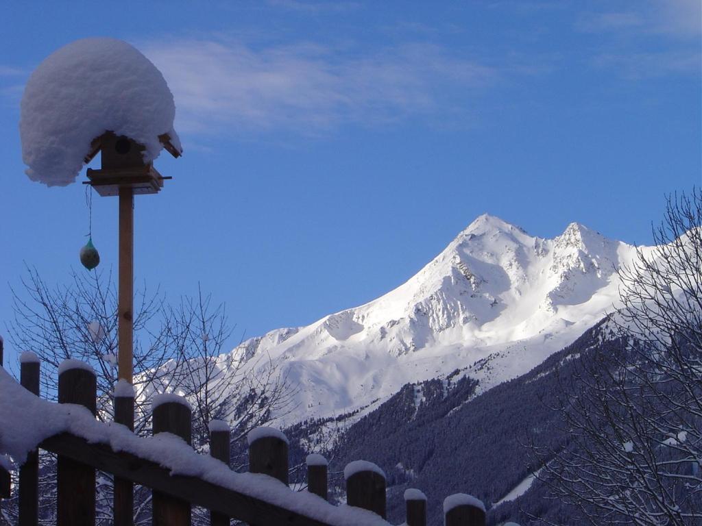 Haus Harbauer Lägenhet Neustift im Stubaital Exteriör bild